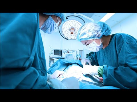 Surgical Video Understanding